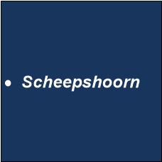 Scheepshoorn
